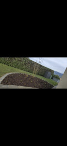 Photo de galerie - Paysagiste - Aménagement du jardin