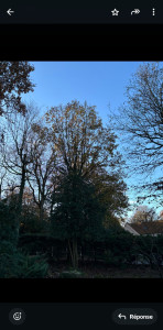 Photo de galerie - .