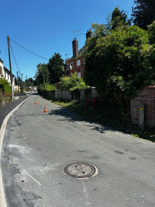 Photo de galerie - Taille de haies et d'arbustes