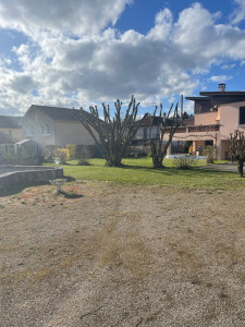 Photo de galerie - Elagage et coupe d'arbres