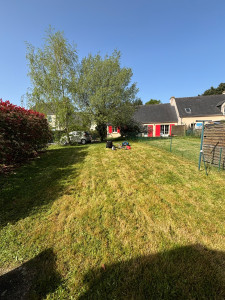 Photo de galerie - Tonte de pelouse 