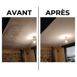 Photo de galerie - Rattrapage d'un plafond très abîmé 