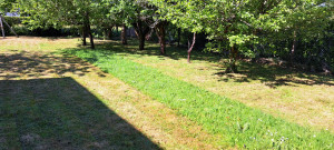 Photo de galerie - Pendant 