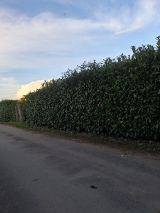 Photo de galerie - Avant 