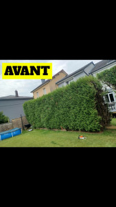 Photo de galerie - Taillage en cours 