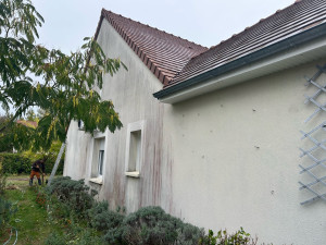 Photo de galerie - Avant traitement curatif 