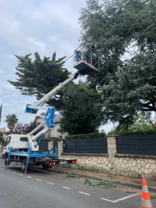 Photo de galerie - Élagage avec camion nacelle