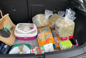 Photo de galerie - C’est bien tout ce petit monde mais il faut les nourrir 