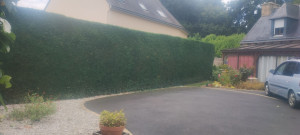 Photo de galerie - Après