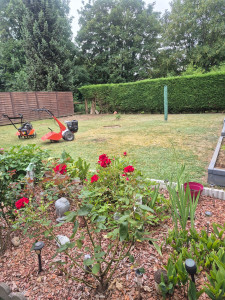 Photo de galerie - Paysagiste - Aménagement du jardin