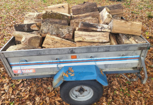 Photo de galerie - Transport 