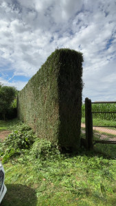 Photo de galerie - Après 
