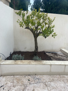 Photo de galerie - Bricolage et multi services