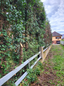 Photo de galerie - Taille de haie n’est plus de 20 m de long
