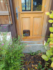 Photo de galerie - Pose d'une chatière 