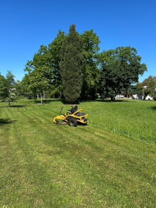Photo de galerie - Tonte de pelouse - Débroussaillage