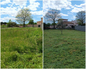Photo de galerie - Débroussaillage 