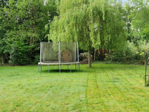 Photo de galerie - Tonte avant 