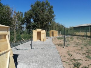 Photo de galerie - Garde chien