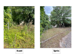 Photo de galerie - Avant/après 