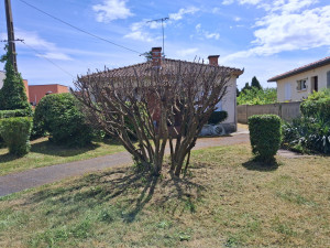 Photo de galerie - Paysagiste - Aménagement du jardin