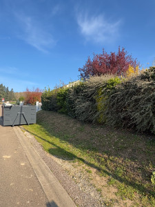 Photo de galerie - Paysagiste - Aménagement du jardin