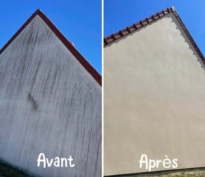 Photo de galerie - Résultat avant/après nettoyage façade 
