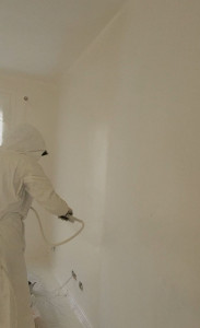 Photo de galerie - Peinture 