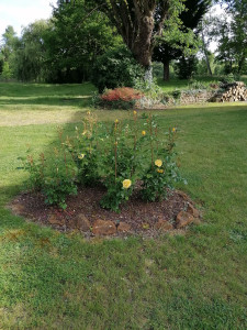 Photo de galerie - Création de massifs