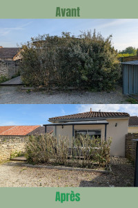 Photo de galerie - Rabattage haie de laurier. 