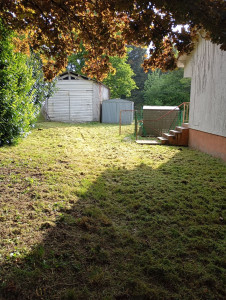 Photo de galerie - Tonte de pelouse - Débroussaillage