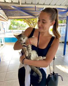 Photo de galerie - Garde chat