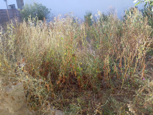 Photo de galerie - Avant 