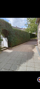 Photo de galerie - Taille de haies et d'arbustes