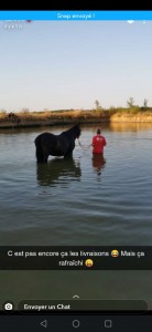 Photo de galerie - Garde chien