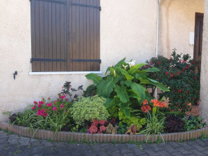 Photo de galerie - Amélioration et entretien d un massif ombragé 