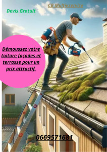 Photo de galerie - Je démousse toiture façade et terrasse 