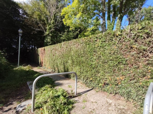 Photo de galerie - Taille de haie 