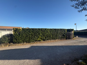 Photo de galerie - Taille de haies et d'arbustes