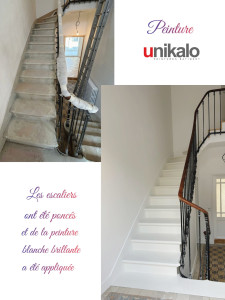 Photo de galerie - Escalier renouvelé avec de la peinture Unikalo 