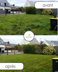 Photo de galerie - Tonte de pelouse