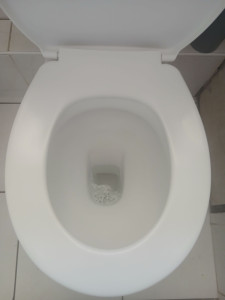 Photo de galerie - Nettoyage de toilettes 