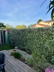 Photo de galerie - Après 