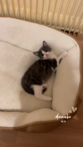 Photo de galerie - Byeol 