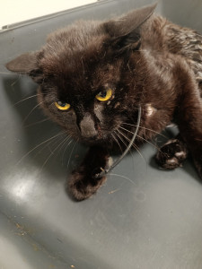 Photo de galerie - Zut elle m'a vue

