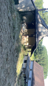 Photo de galerie - Jardinier