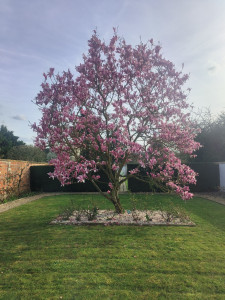 Photo de galerie - Entretien de terrain 