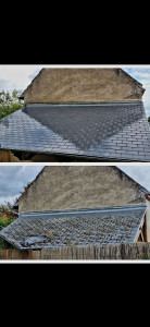 Photo de galerie - Application  d'un traitement anti cryptogamique anti-mousse demander un devis gratuit