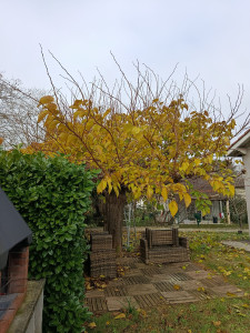 Photo de galerie - Avant