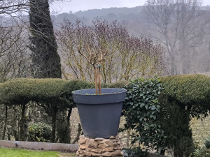 Photo de galerie - Taille 